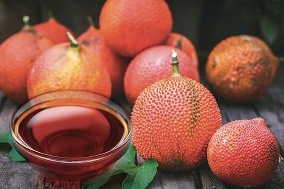 Đại biểu người Việt Nam ở nước ngo&agrave;i tham gia c&aacute;c hoạt động trong chương tr&igrave;nh họp mặt Xu&acirc;n qu&ecirc; hương năm 2025