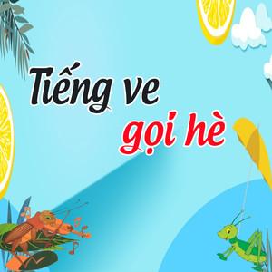 Dự án sân bay Long Thành và đường Vành đai 3 TPHCM: Được áp dụng cơ chế đặc thù về vật liệu xây dựng