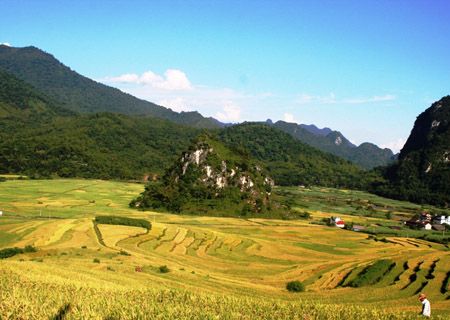 TPHCM: Bắt đầu công bố hết dịch sởi