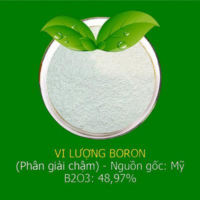 Tổng hợp thông tin báo chí liên quan đến TP. HCM ngày 1/4/2025