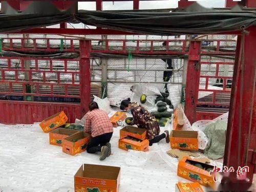 Đại lễ Vesak 2025: Lan tỏa thông điệp hòa bình, khẳng định chính sách tự do tín ngưỡng, tôn giáo ở Việt Nam ảnh 5