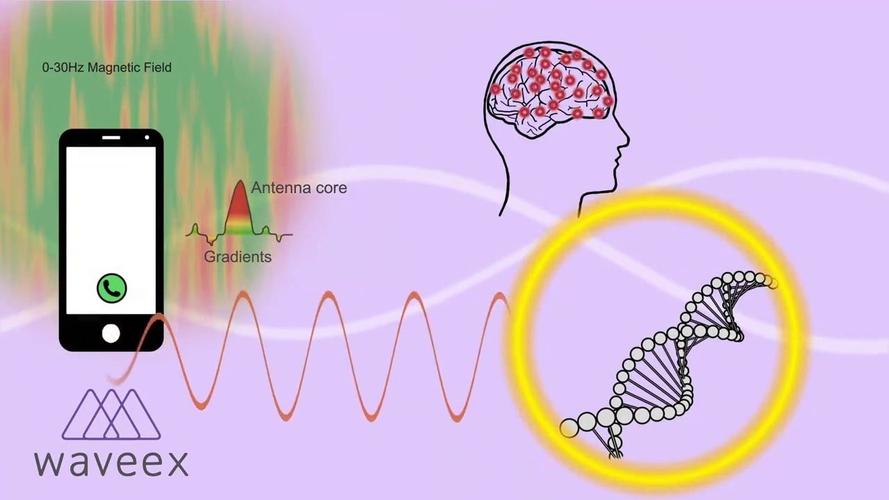 Học viện Phật giáo Việt Nam tại Thành phố Hồ Chí Minh-địa điểm tổ chức Vesak 2025.