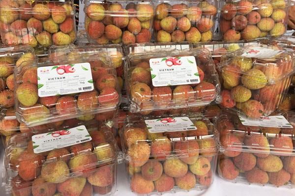 cải tạo hệ thống thoát nước bà Trang.jpg