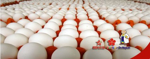 Chủ tịch TP.HCM Nguyễn Văn Được thăm, chúc mừng cơ quan báo chí - Ảnh 1.