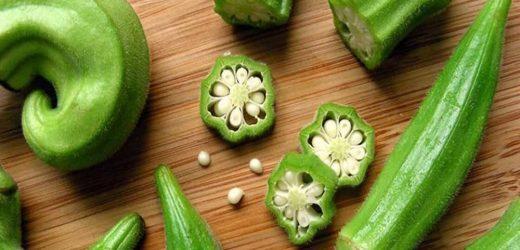 Thông tin các vấn đề kinh tế - xã hội TP. HCM đến ngày 24/7