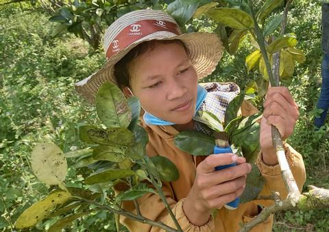 Đông đảo đoàn viên, người lao động Thành phố Hồ Chí Minh tham gia hiến máu Abc8vip00 tải ứng dụng sau lễ phát động. (Ảnh: Thanh Vũ/TTXVN)