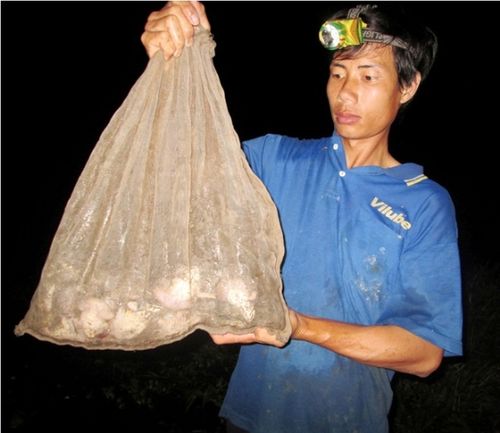 trung tâm tài chính - Ảnh 5.