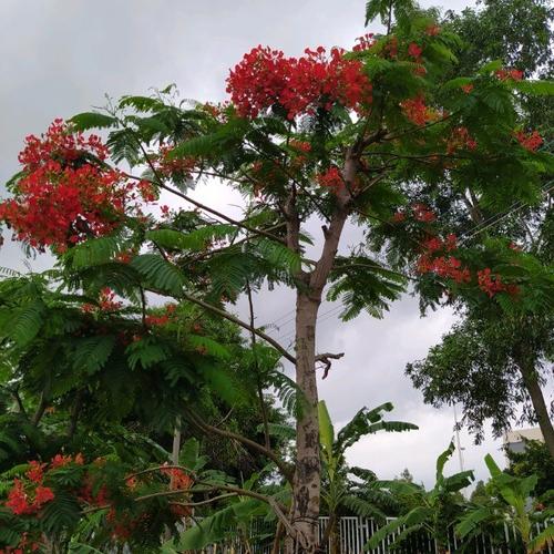Thí sinh tự do đăng ký dự thi kỳ thi tốt nghiệp THPT quốc gia ở đâu?