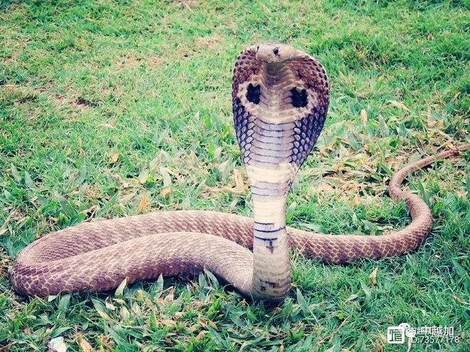 TP.HCM khuyến nghị người dân phối hợp làm sạch dữ liệu đất đai