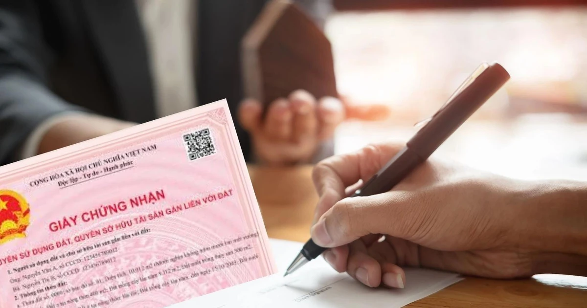 Phương án tạm thu lệ phí cấp Link Vào Abc8.com Đăng Ký Tặng 88K ở TPHCM sau sáp nhập