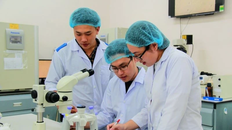 Thành phố Hồ Chí Minh: Thúc đẩy hệ sinh thái khởi nghiệp sáng tạo