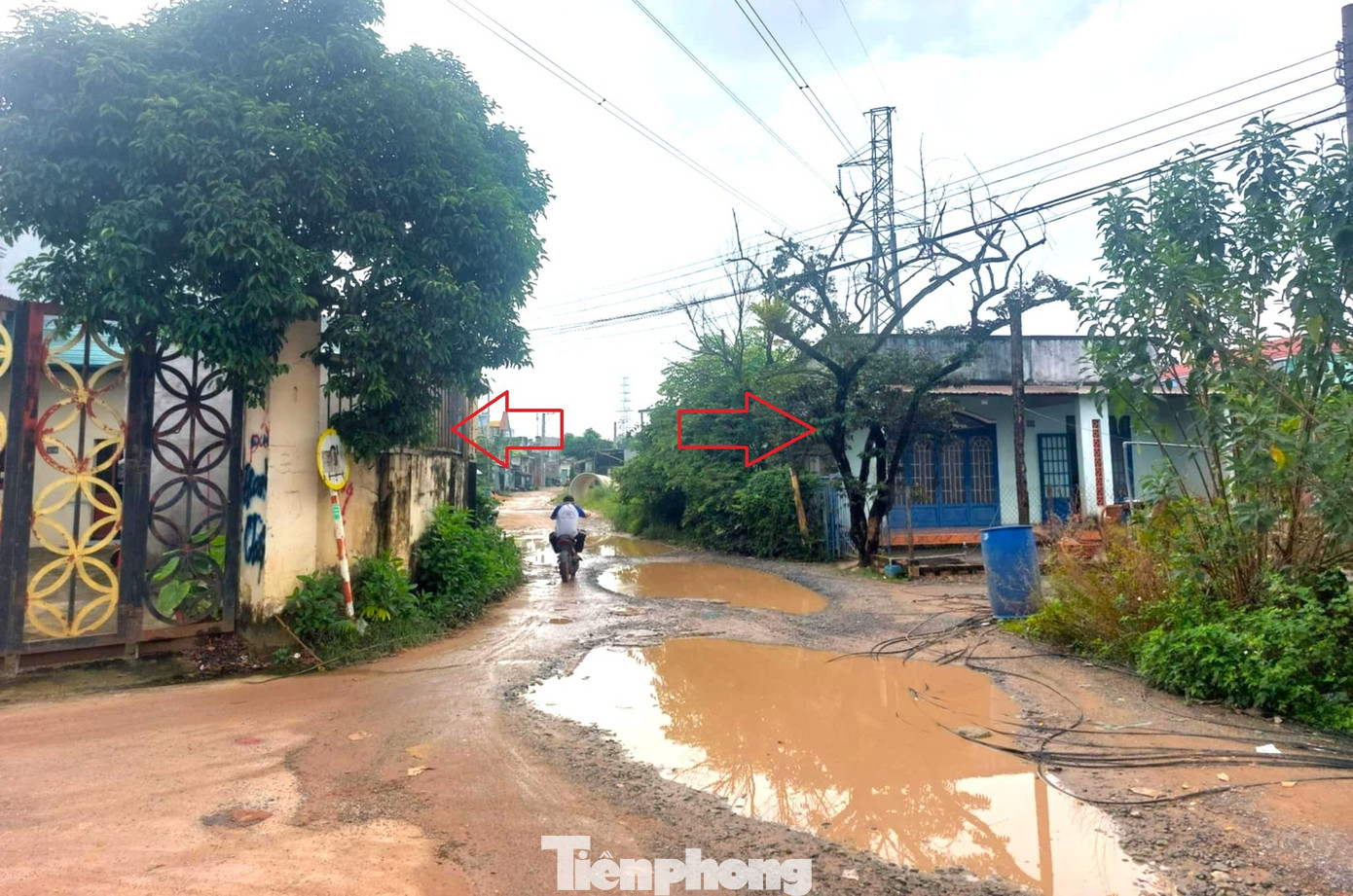 tp-duong-0.jpg