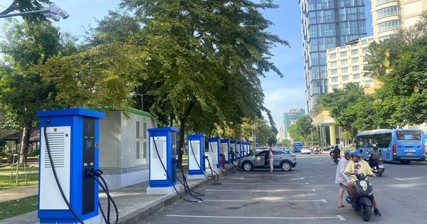 TPHCM trồng thêm 15.000 cây phân tán