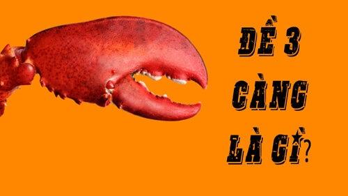 Pháo hoa chào đón năm mới 2026 rực sáng trên bầu trời TPHCM - 2