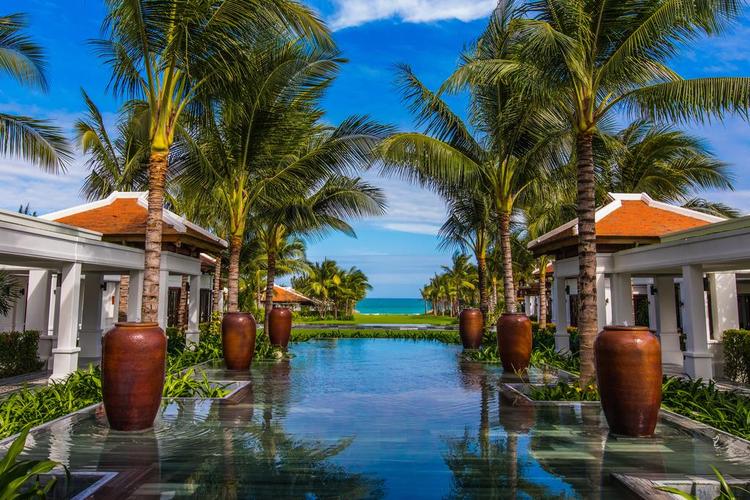 Hoa tết tấp nập xuống phố, giá không tăng - Ảnh 1.