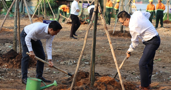 TPHCM phát động trồng cây xanh nhân Ngày Cây xanh Việt Nam