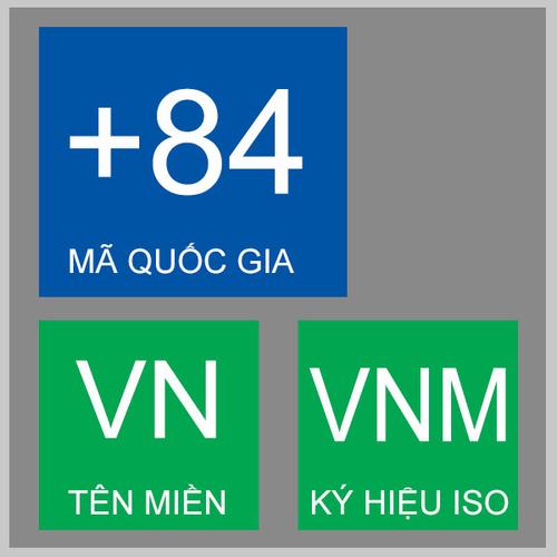chen chân chụp ảnh mai vàng ở tphcm (9).JPG