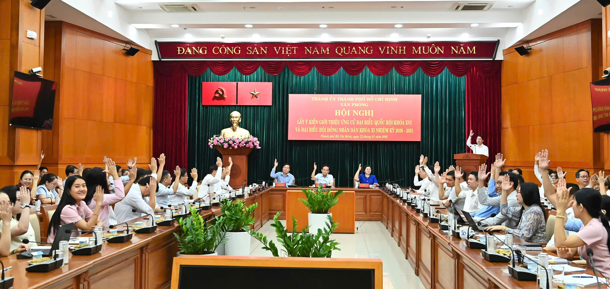 Trần Lưu Quang - Ảnh 2.