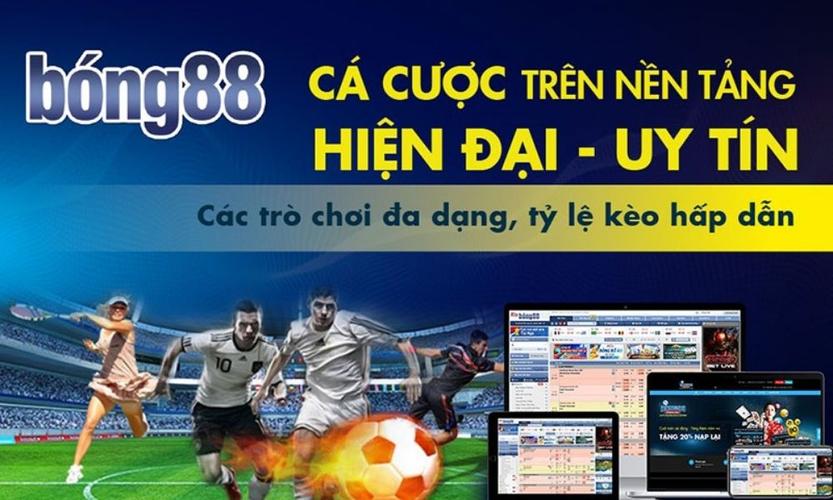TPHCM: Khai mạc Chợ hoa Tết Bình Đông - Xuân Bính Ngọ 2026 - Ảnh 11.