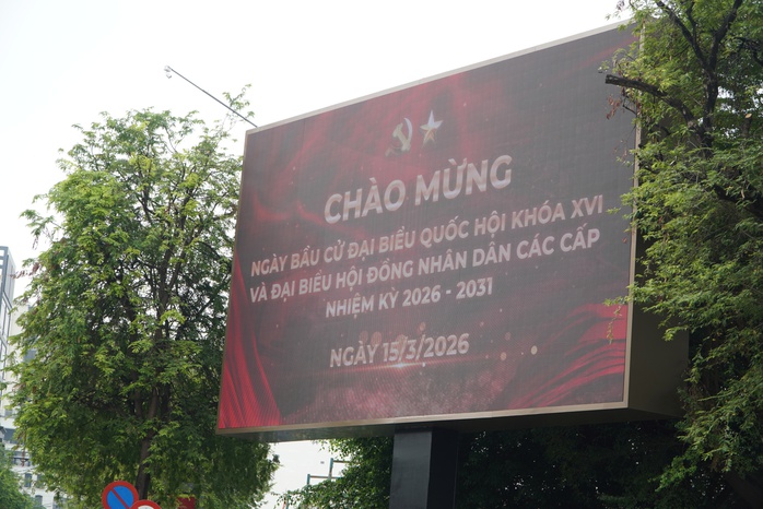 TPHCM tổ chức bầu cử sớm vào mùng 10 Tết Bính Ngọ - Ảnh 1.