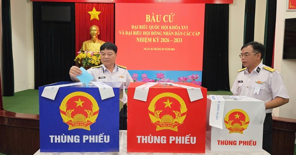 4 khu vực bỏ phiếu sớm ở TPHCM đồng loạt khai mạc