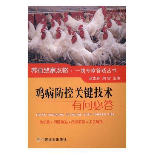 bầu cử-cờ hoa- đại biểu- TP.HCM- khẩu hiệu (18).jpg