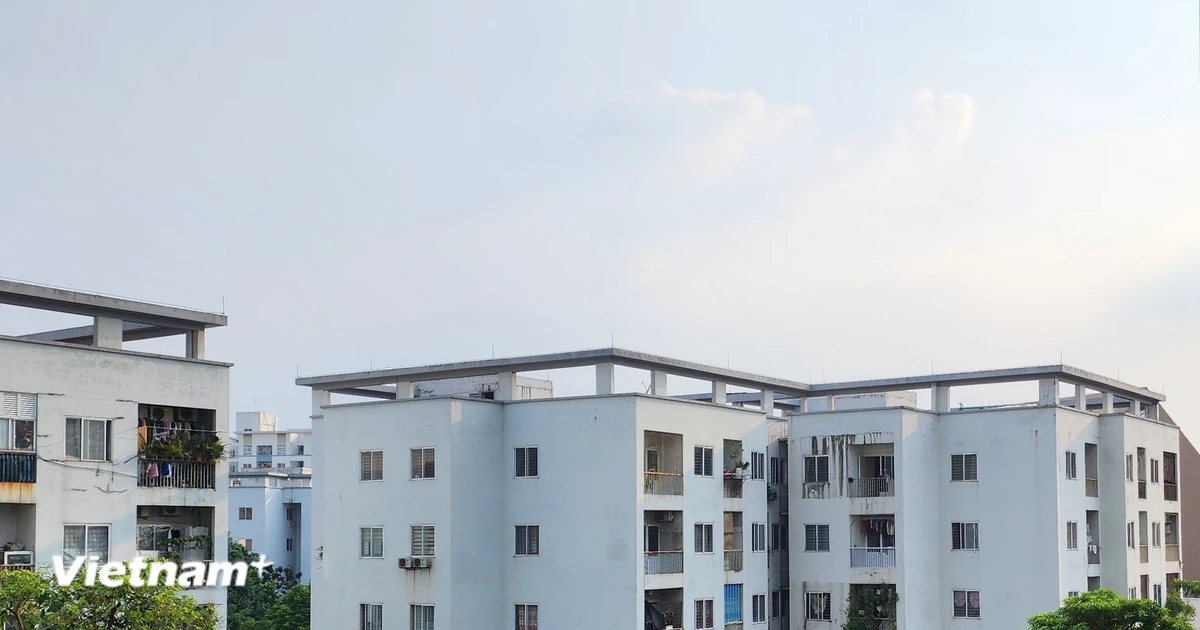 TP Hồ Chí Minh đưa các dự án nhà ở xã hội vào nhóm "luồng xanh," "luồng ưu tiên"