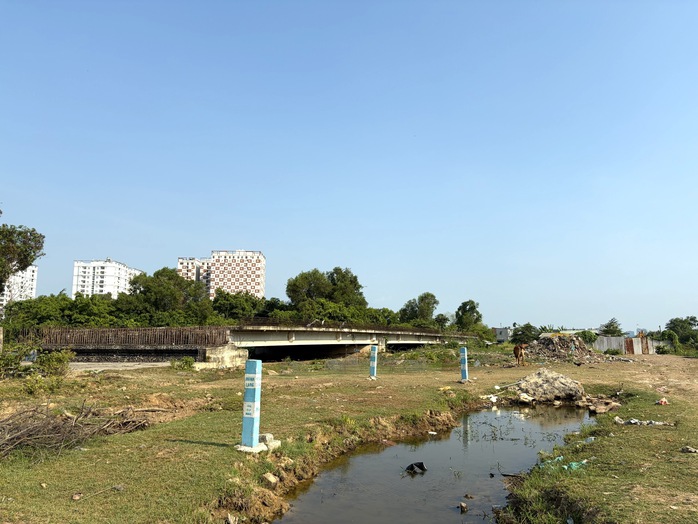  - Ảnh 1.