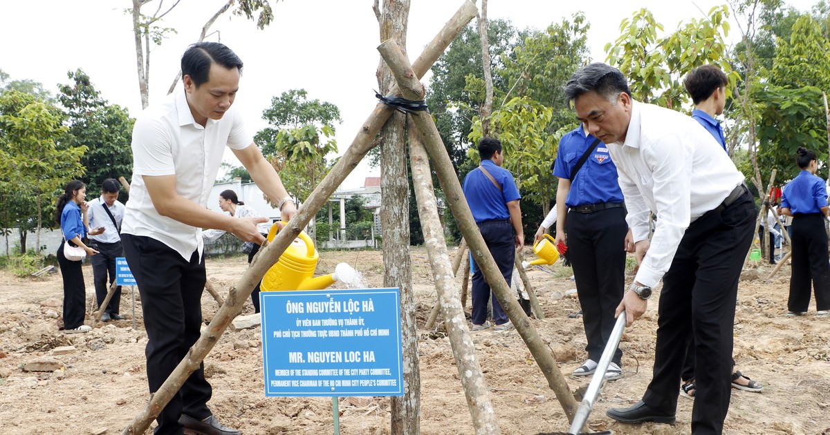 Khánh thành 'Vườn cây Hữu nghị' tại Phú An - Dấu ấn xanh kết nối bạn bè quốc tế