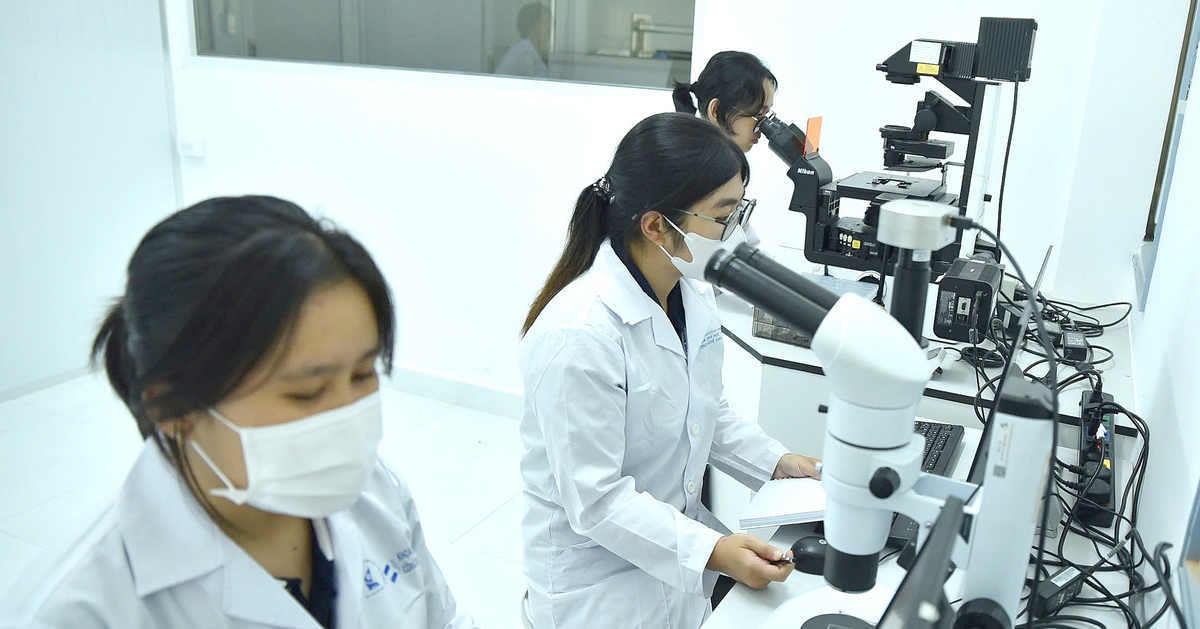 TP.HCM tính chuyện giữ người tài bằng cả hệ sinh thái