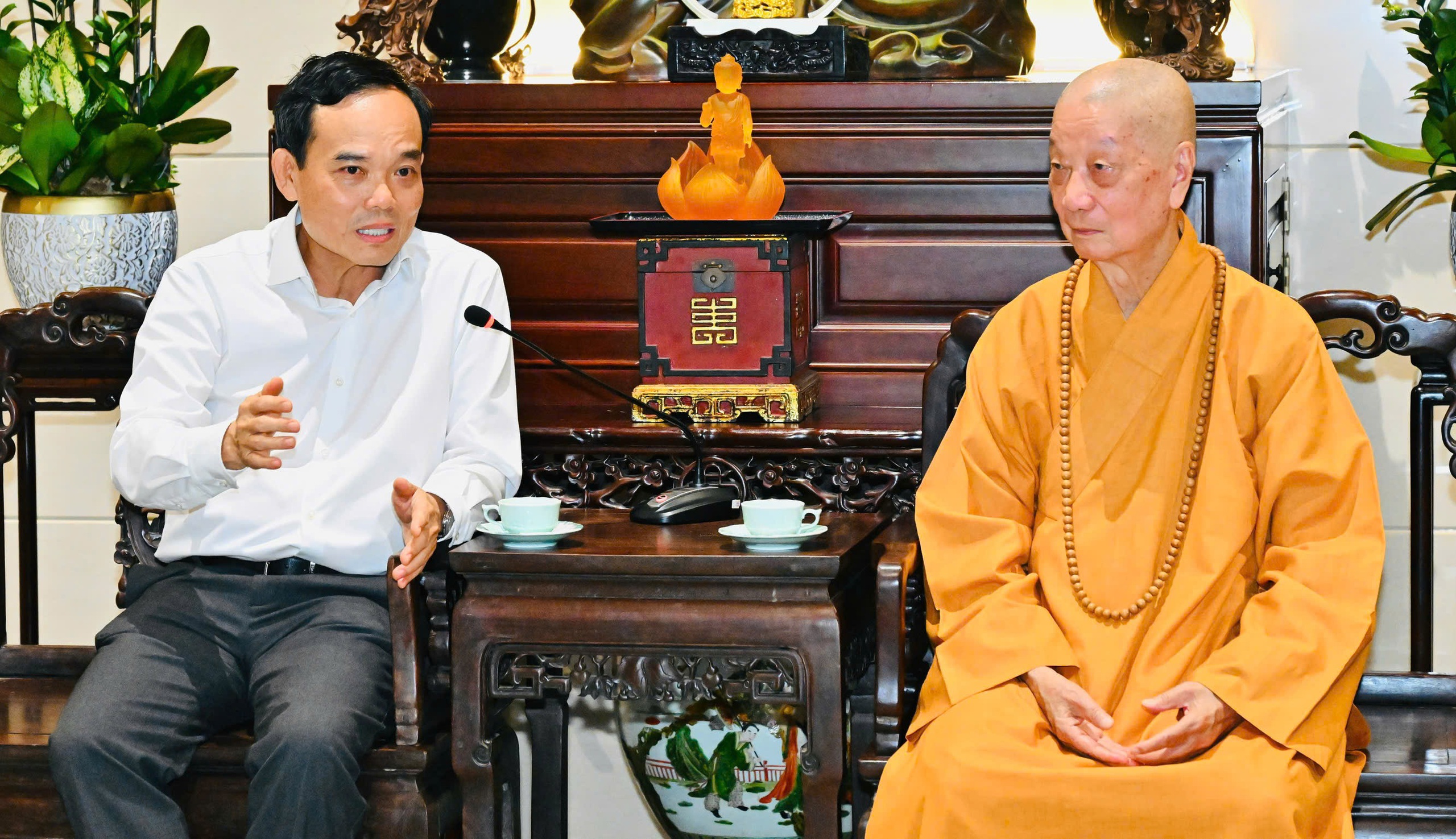 Trần Lưu Quang - Ảnh 1.